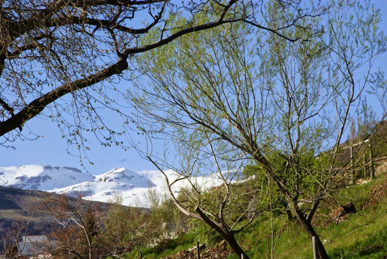Casa Alpujarrena Fina Numero 27 Bubión Εξωτερικό φωτογραφία